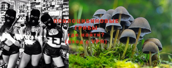 прущая мука Новозыбков