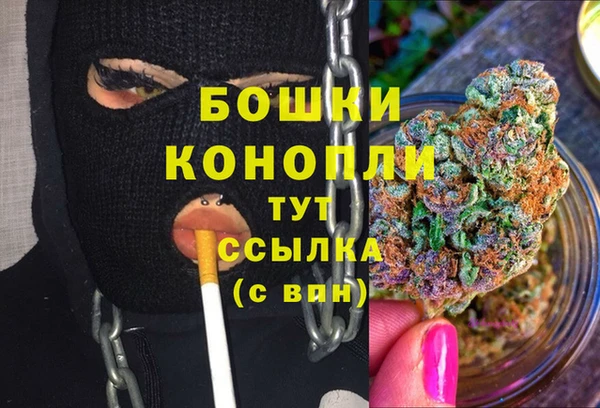 ECSTASY Новодвинск