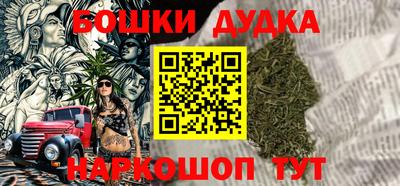 индика Гусев