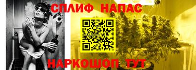гашик Гусь-Хрустальный