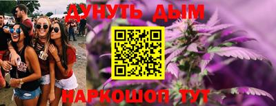 индика Гусев