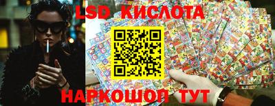 индика Гусев
