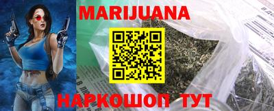 индика Гусев