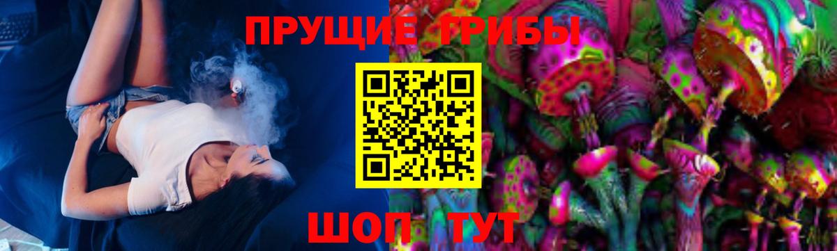 Псилоцибиновые грибы прущие грибы Ирбит